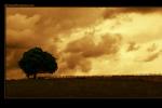 Weathering the Storm